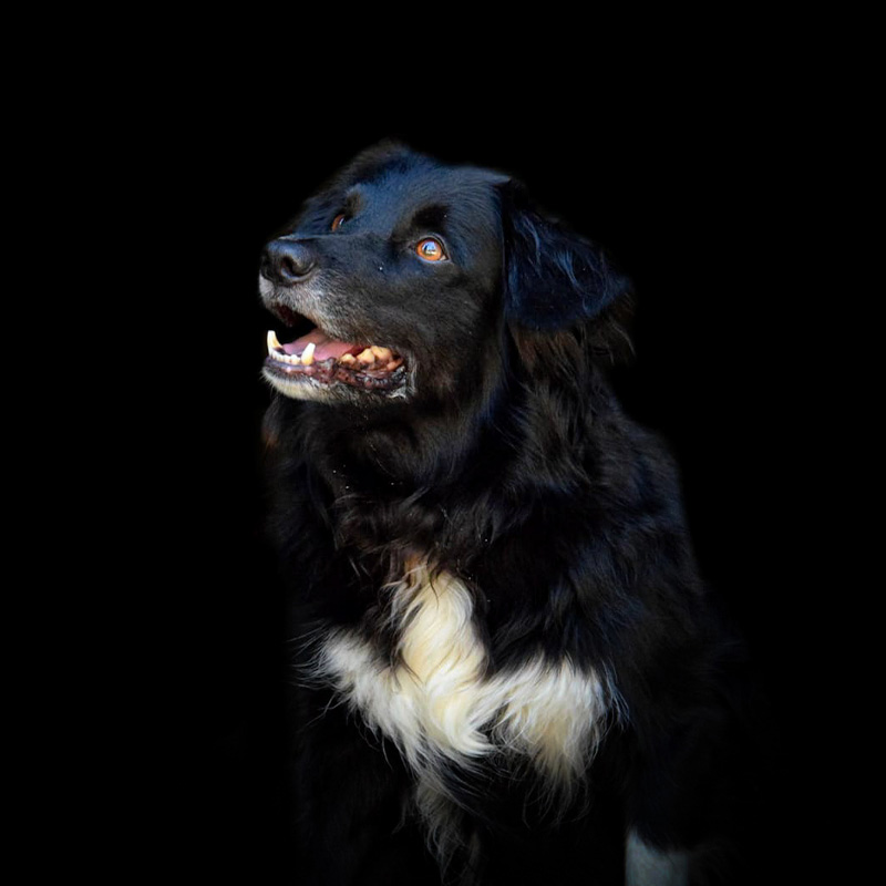 KASPER
