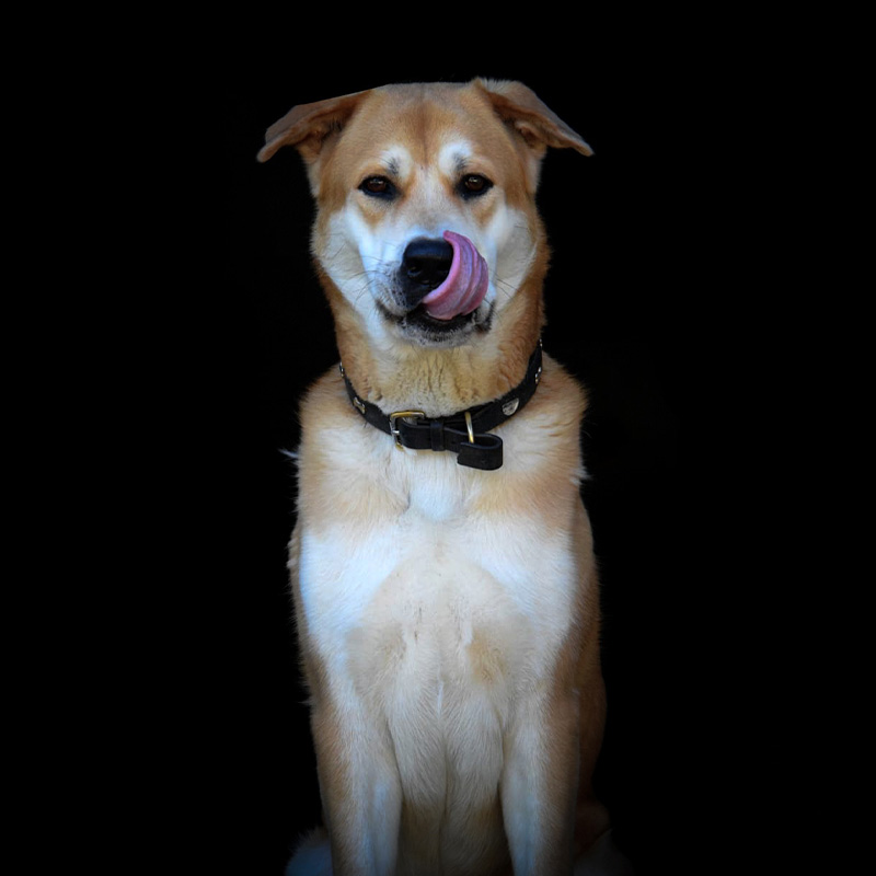 RASMUS